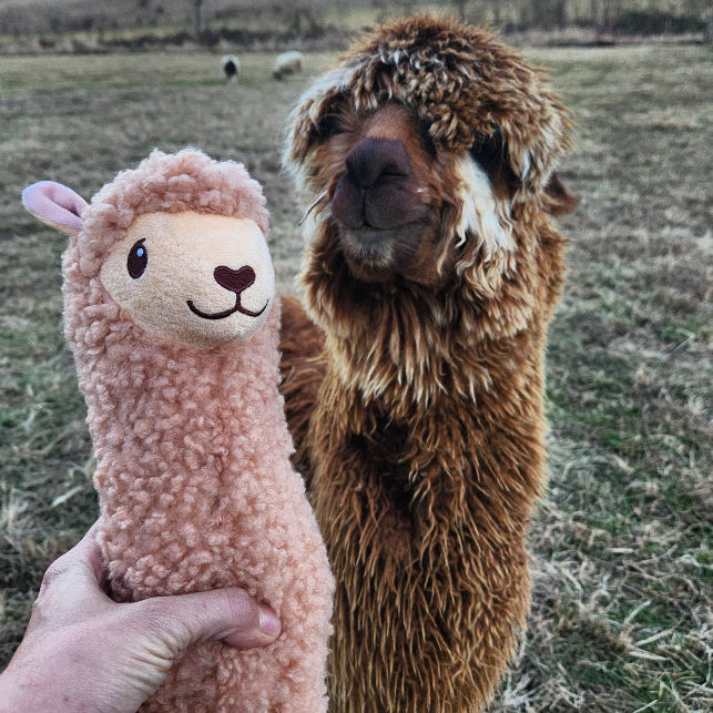 Alpaca (Fava Bean) Stuffed Animal