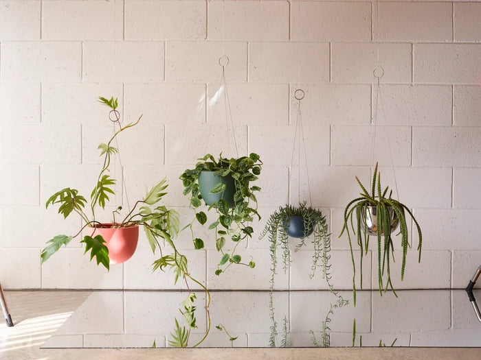 Clifton Planter: Deep Blue