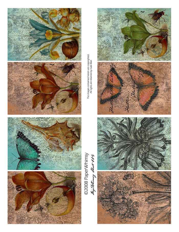 Digi 004 PRINTED - paperwhimsy