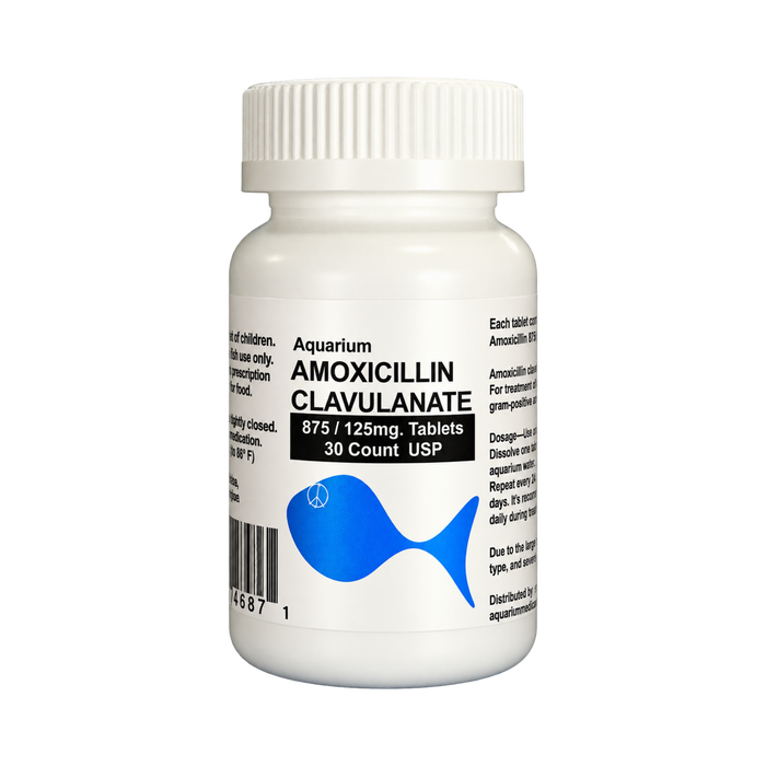 Fish Amox Clav - Amoxicillin / Clavulanate