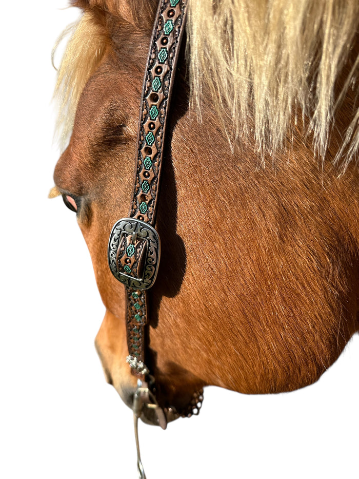 Hand painted and tooled leather Headstall horse size