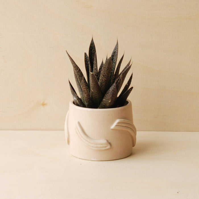 Nightshift Ceramics Deco Planter