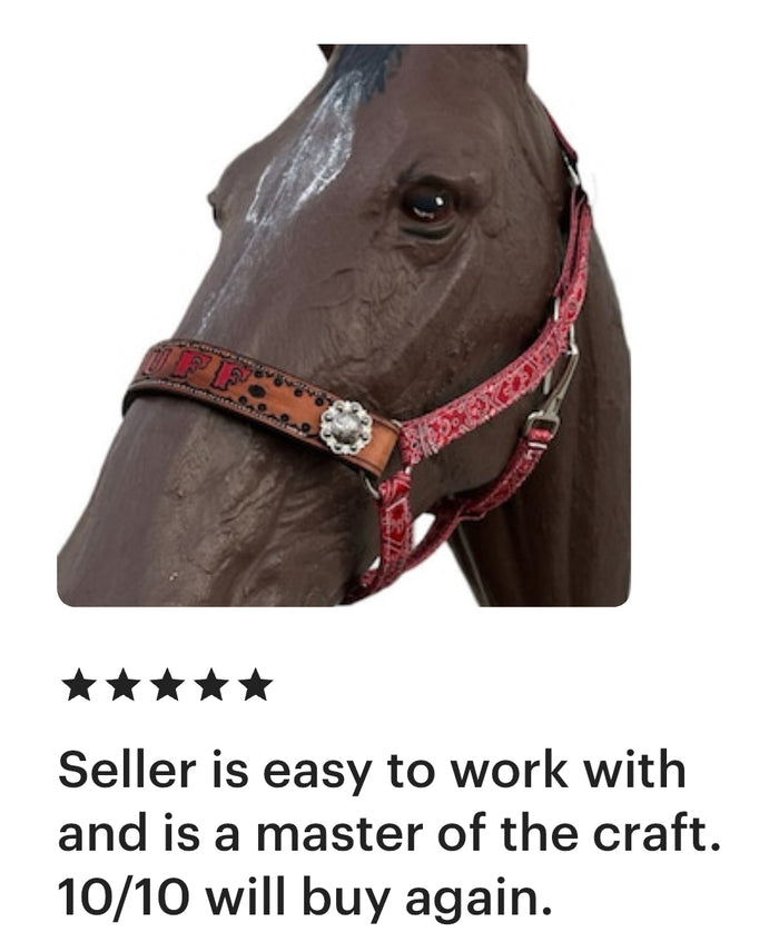 PERSONALIZED red bandana nylon horse halter