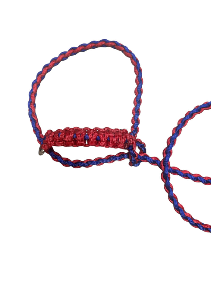 Small livestock adjustable halter and lead, sheep, alpaca, small cow with a handle