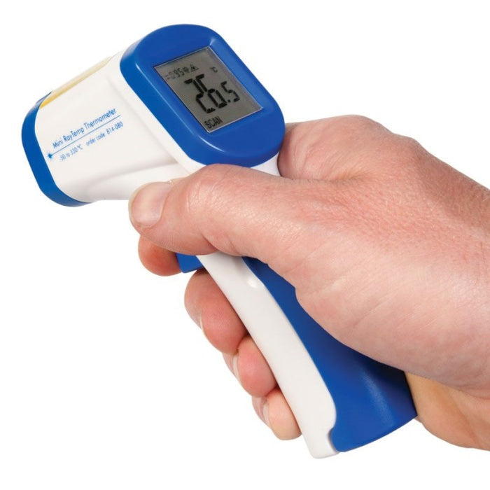 Thermometer Mini Raytemp Infared