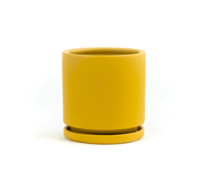 10.25" Gemstone Planter - Mustard