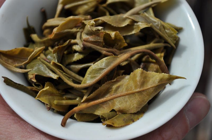 2010 Yunnan Sourcing "Jing Gu Yang Ta" Raw Pu-erh Tea Cake | Yunnan Sourcing Tea Shop