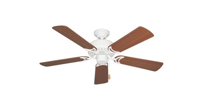 Pure White / Teak Matte