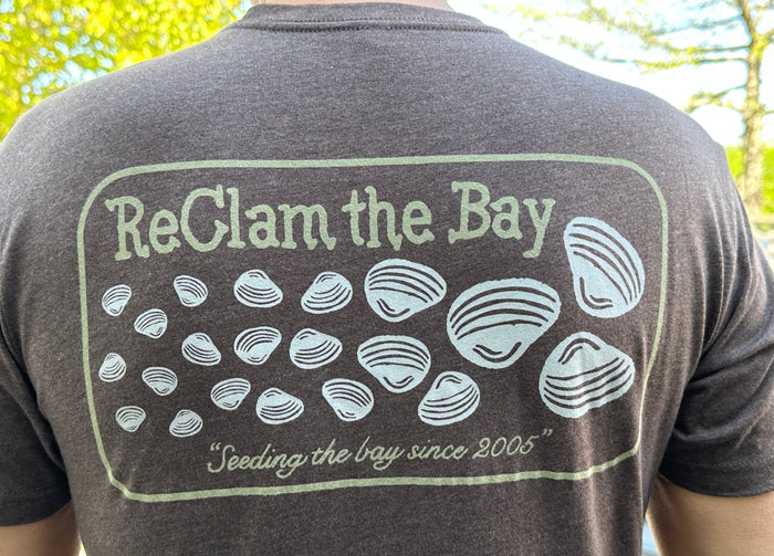 Jetty T Shirt: Clam Seed Design Tee