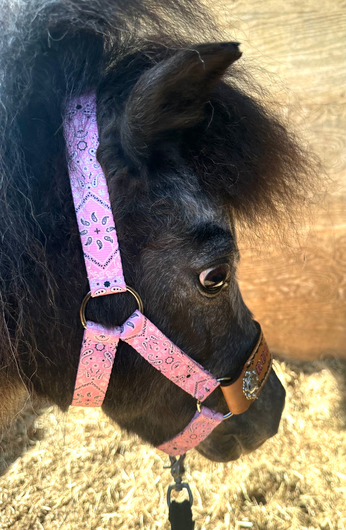 PERSONALIZED pink bandana nylon horse halter or pony halter.