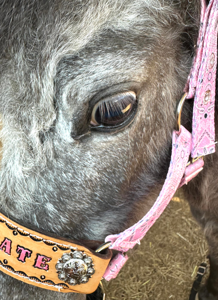 PERSONALIZED pink bandana nylon horse halter or pony halter.