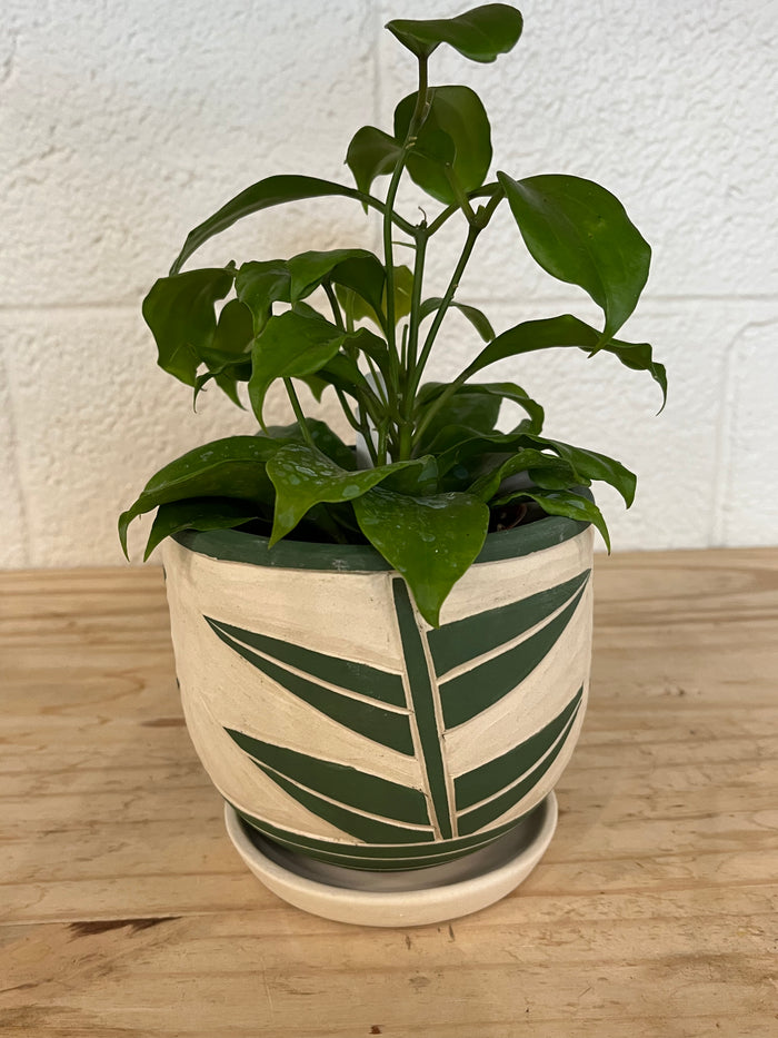 Leaf Pattern Planter w/Tray