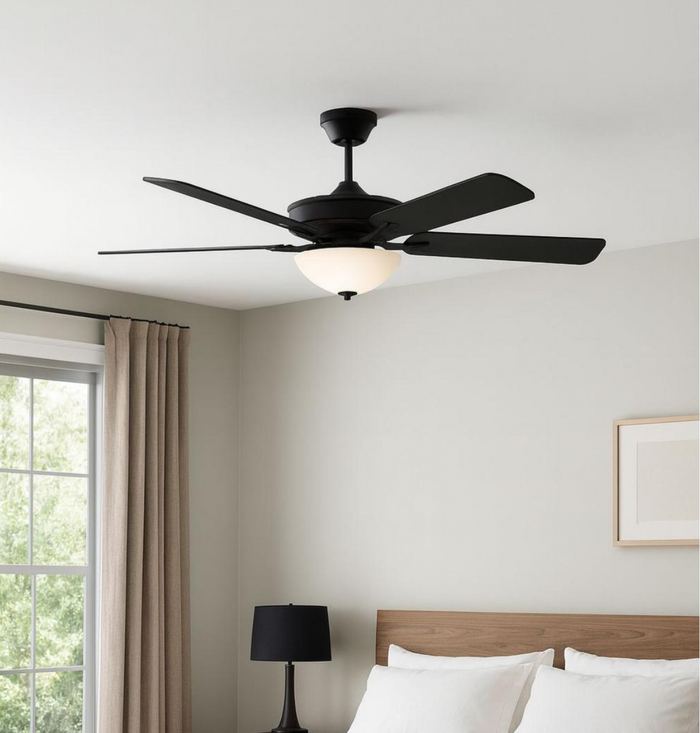 Black / Bowl Light / None