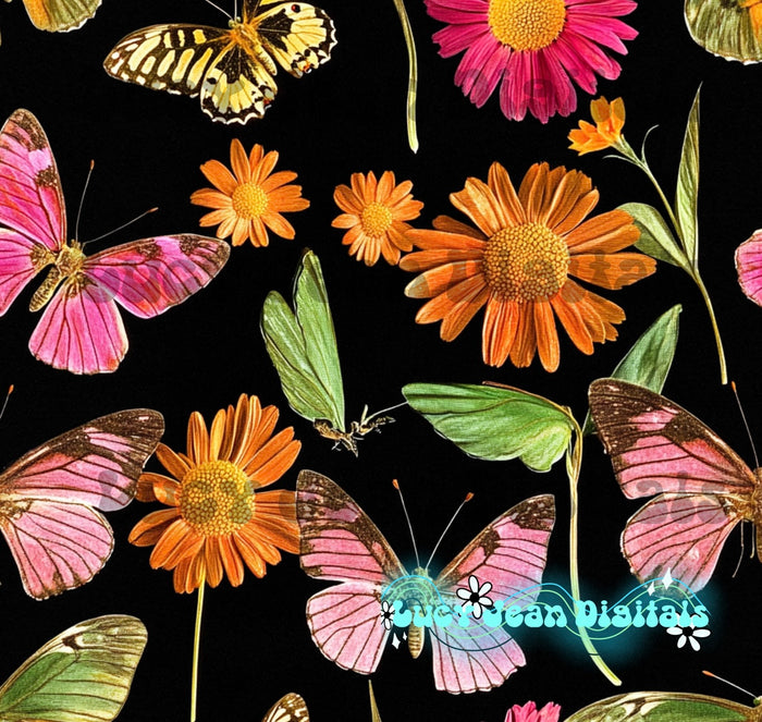 Black/pink Butterfly