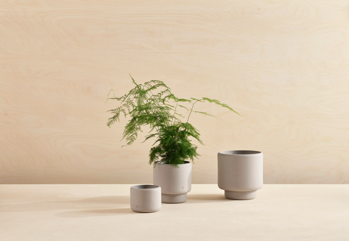 Botany Planter: Grey