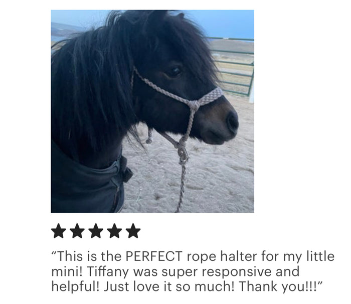 Braided horse halter with lead - Tiffanys Braided Tack LLC