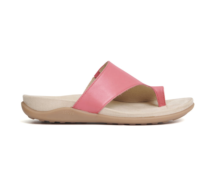 Capri 4 Coral