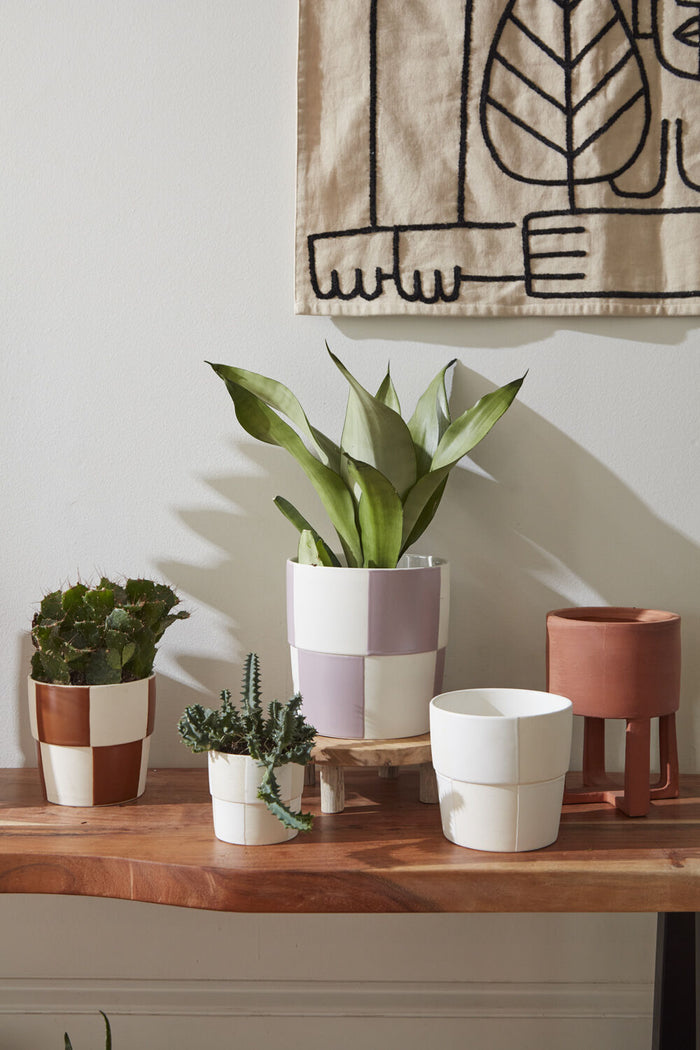 Checkerboard Pot: Purple