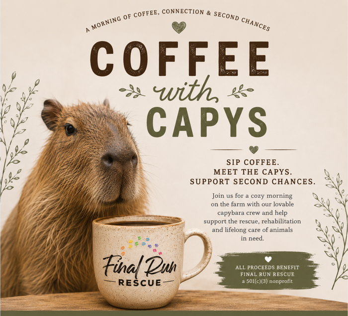 Coffee with Capy's-benefitting Final Run Rescue