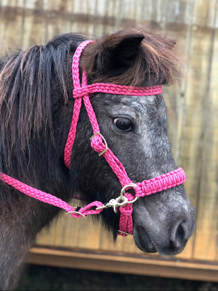 Complete Bitless bridle for ponie fuchsia….side pull hackamore with reins - Tiffanys Braided Tack LLC