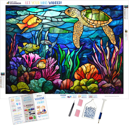 Coral Reef Teeming With Life