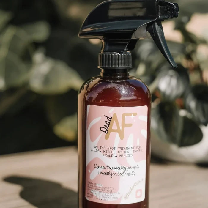 Dead AF Pest Spray
