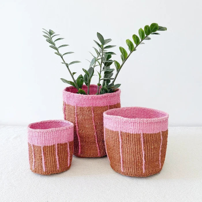Desert Sun Plant Basket