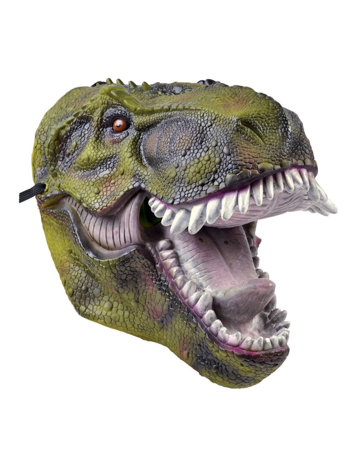 Dinosaur Mask