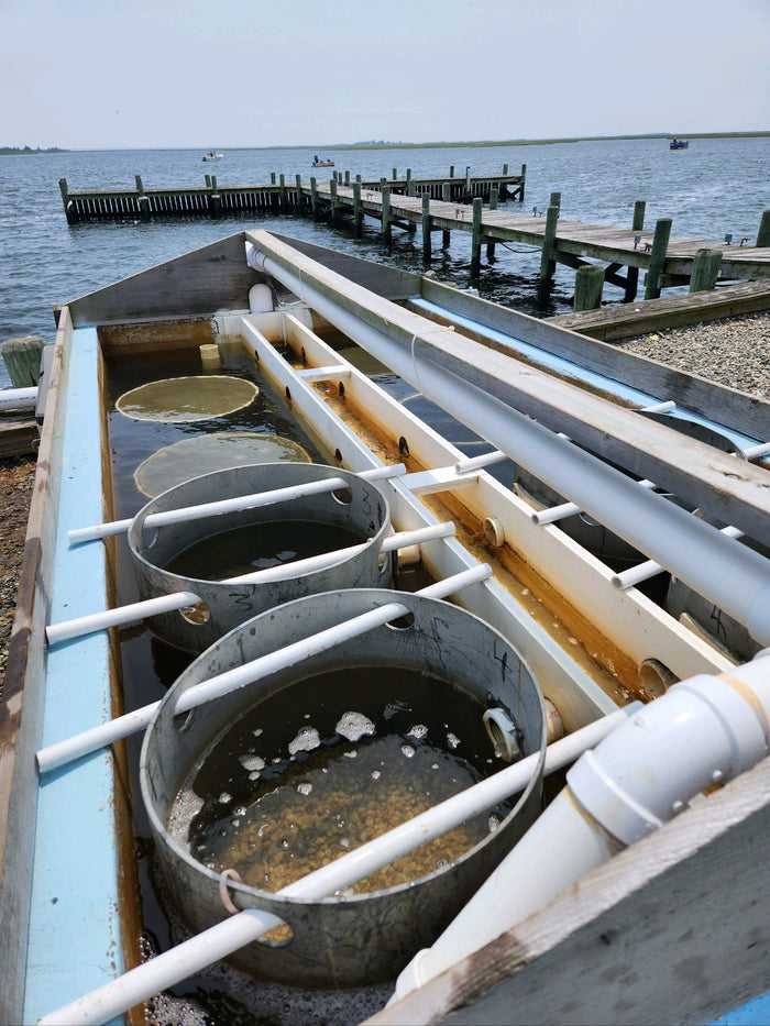 Donate to ReClam the Bay