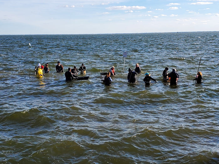 Donate to ReClam the Bay