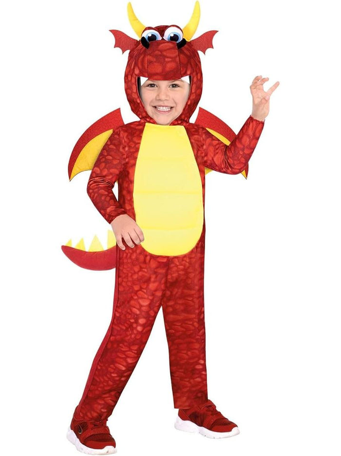 Dragon Kids Costume