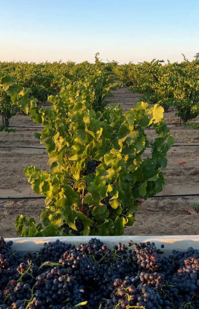Enfield Wine Co. Dinner with Founder & Winemaker John Lockwood | Thursday, July 30, 2026