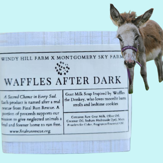 Waffles After Dark