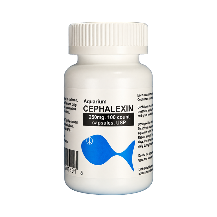 Fish Ceph - Cephalexin