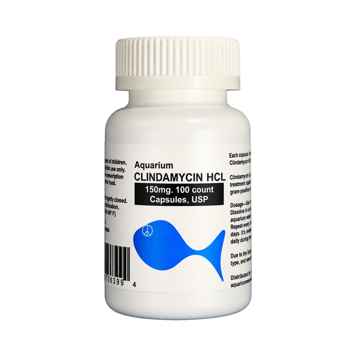 Fish Cin - Clindamycin
