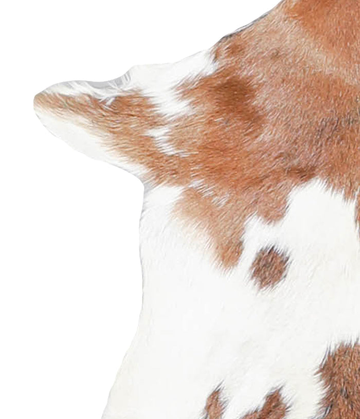 Goatskin #A27729
