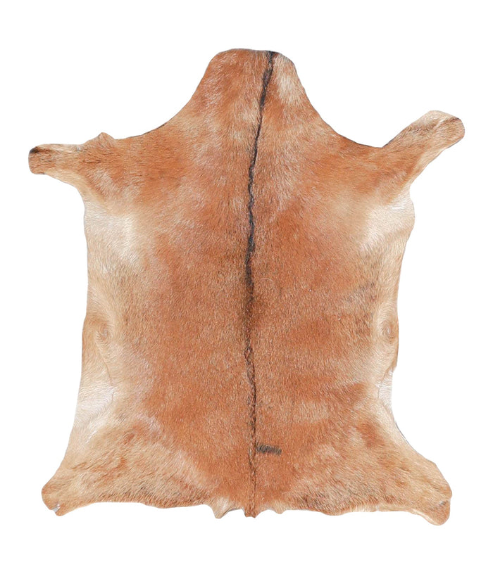 Goatskin #A27754