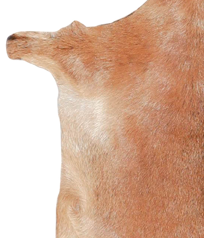 Goatskin #A27754