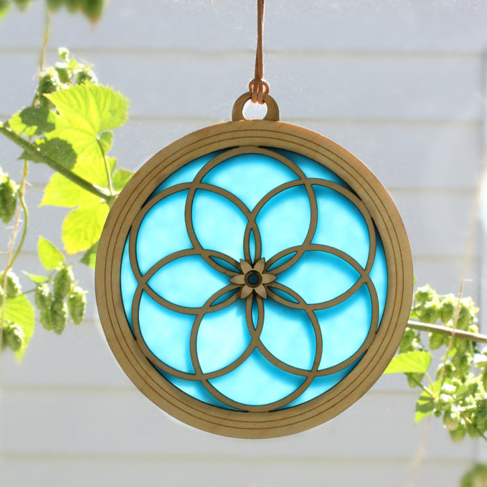 Grand Interlocking Rings Suncatcher