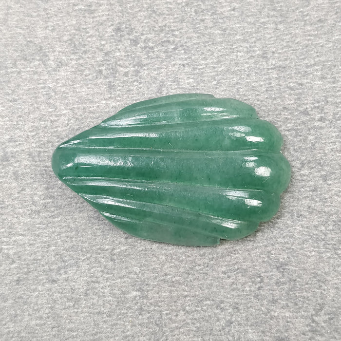 Sea Shell
