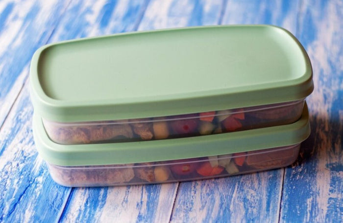 Harfield Food Container With Lid 24.6cm x 12.6cm x 4.5cm (498)