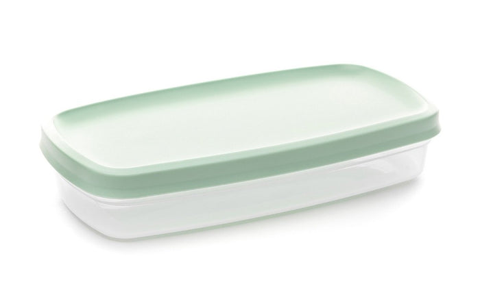 Harfield Food Container With Lid 24.6cm x 12.6cm x 4.5cm (498)