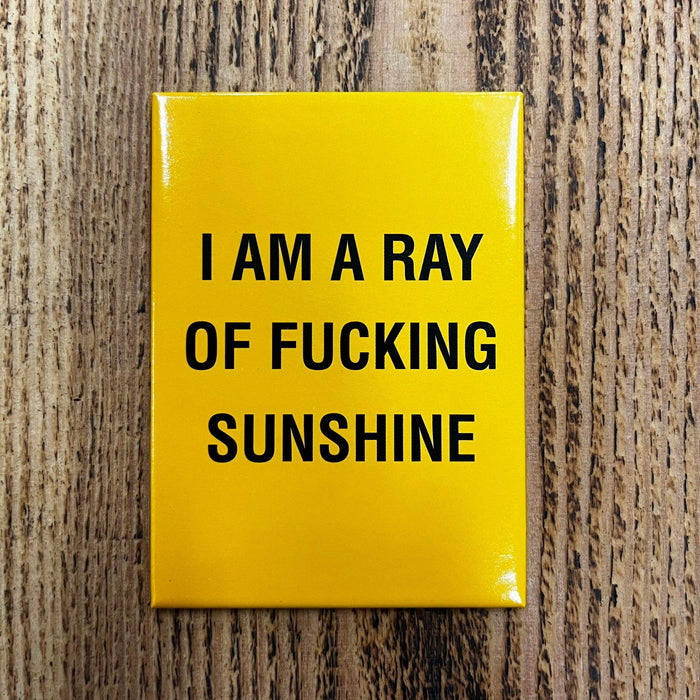 I am a Ray of Fucking Sunshine - Magnet