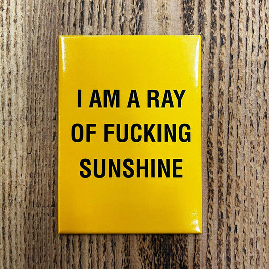 I am a Ray of Fucking Sunshine - Magnet