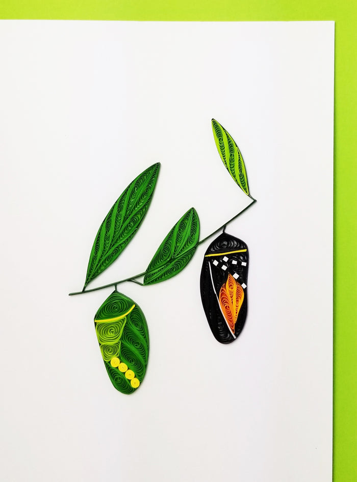 Monarch and Chrysalis Card