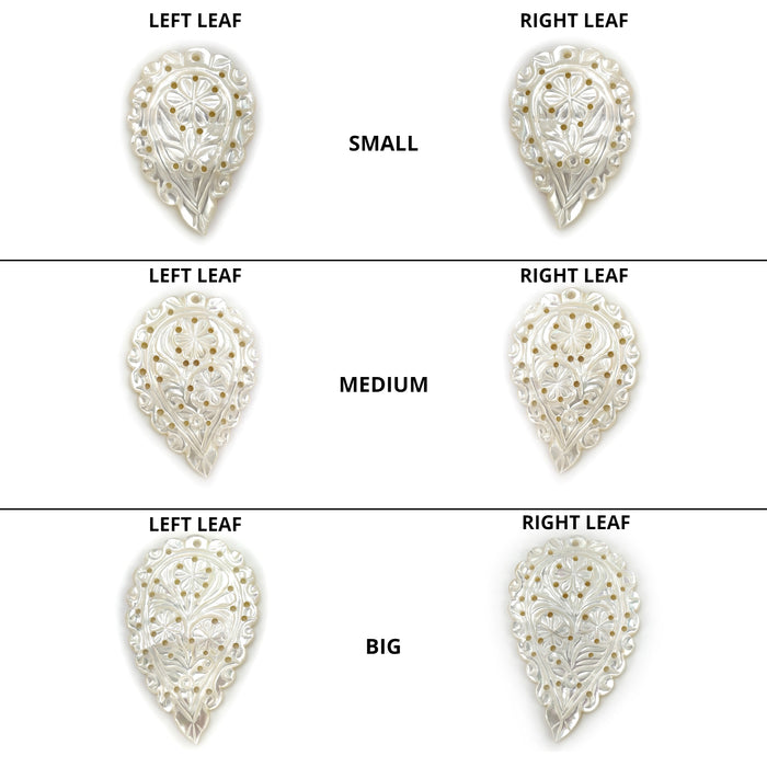MOP Leaves
