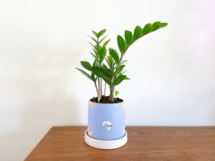 Multi-Color Arch Planter