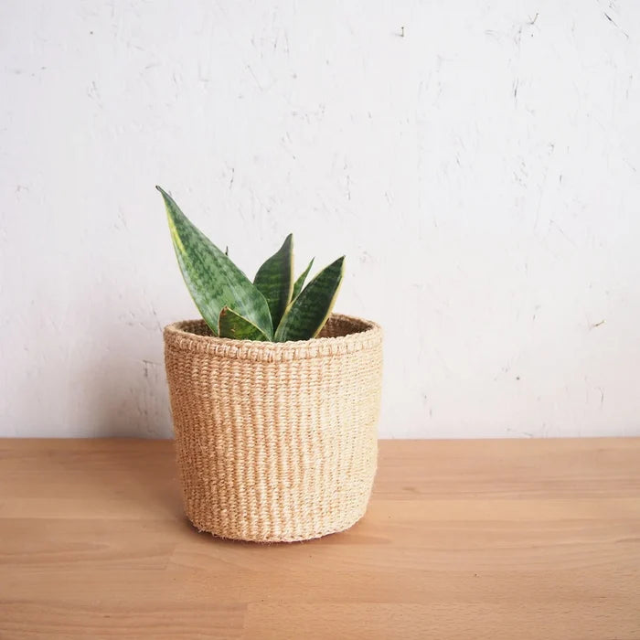 Oats Plant Basket