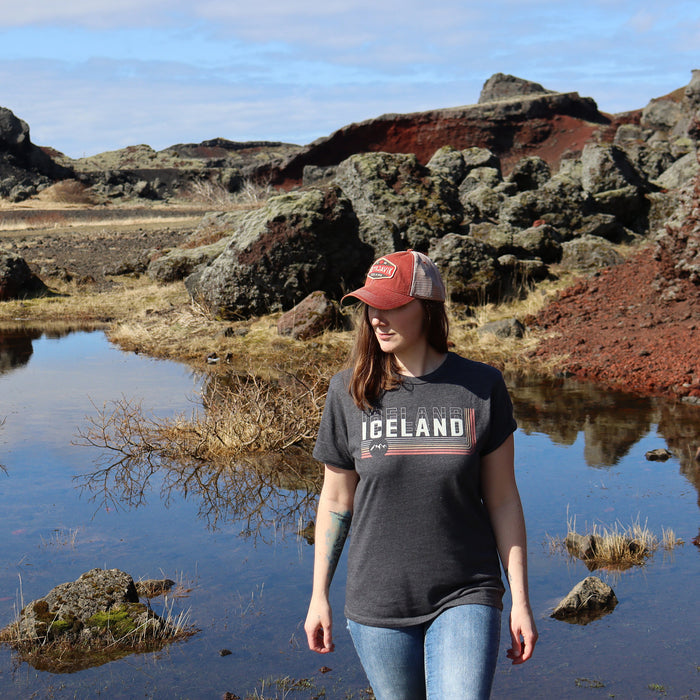 Old Favorite Trucker Cap - Reykjavík Midst - Cardinal