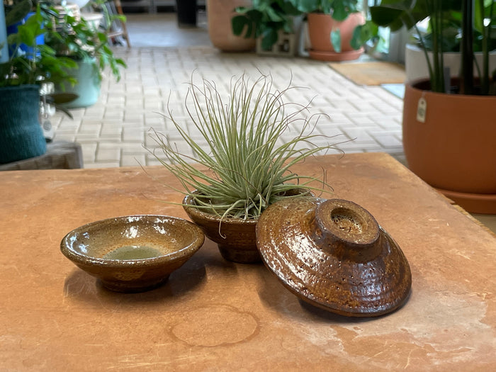 Our Lady Pottery - Dish